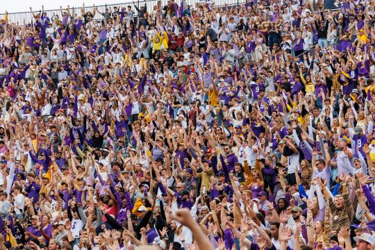 Lsu Fans