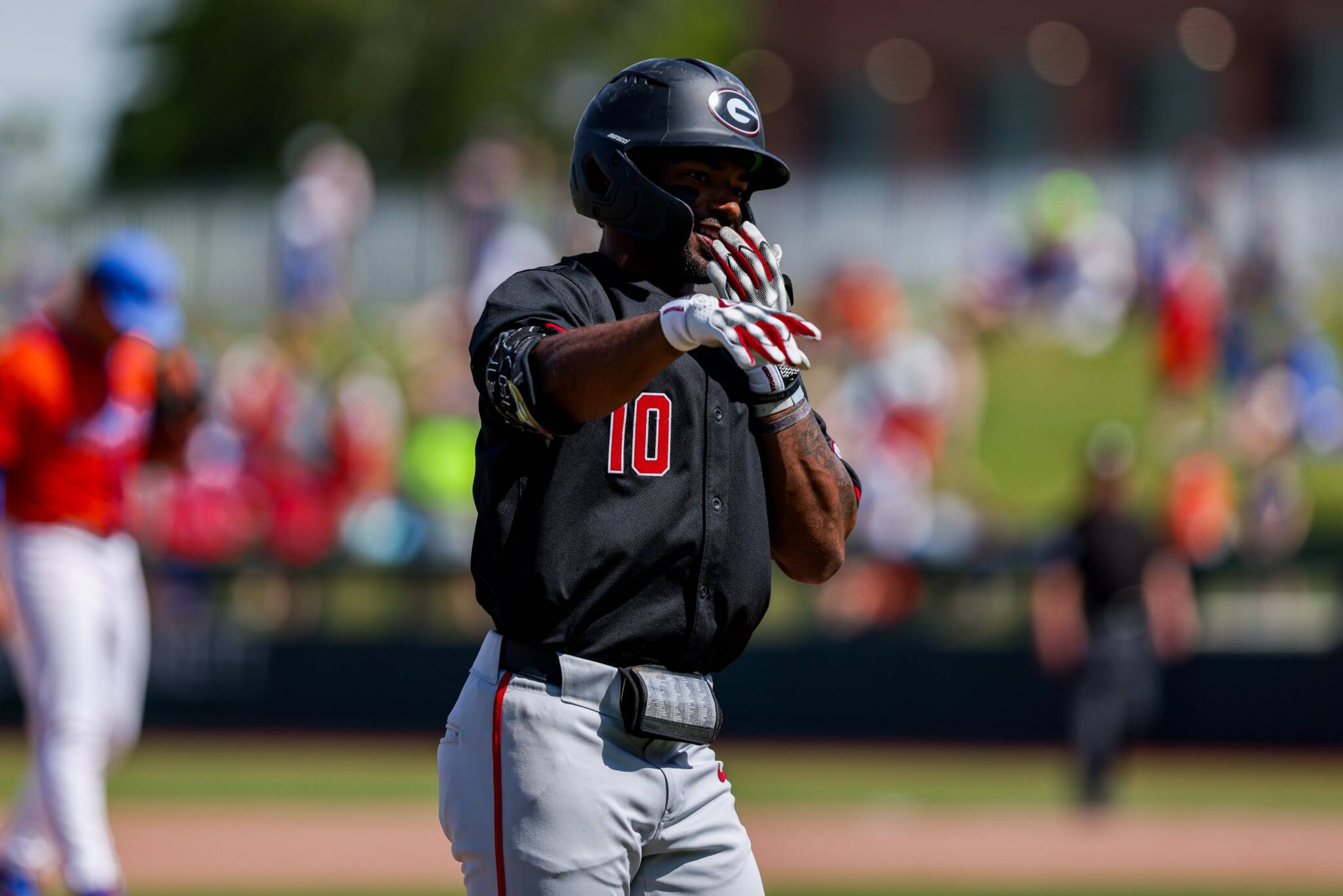 UGA Georgia Baseball