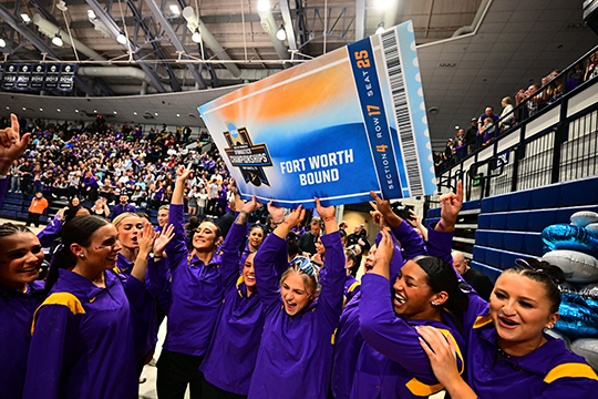 LSU Gymanstics