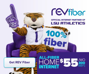 A tiger mascot sits on a purple couch, holding a "100% fiber" sign to promote all-fiber home internet for $55 per month.